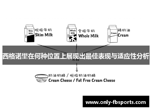 西格诺里在何种位置上展现出最佳表现与适应性分析