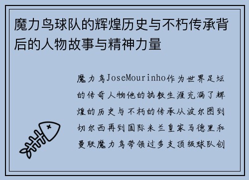 魔力鸟球队的辉煌历史与不朽传承背后的人物故事与精神力量